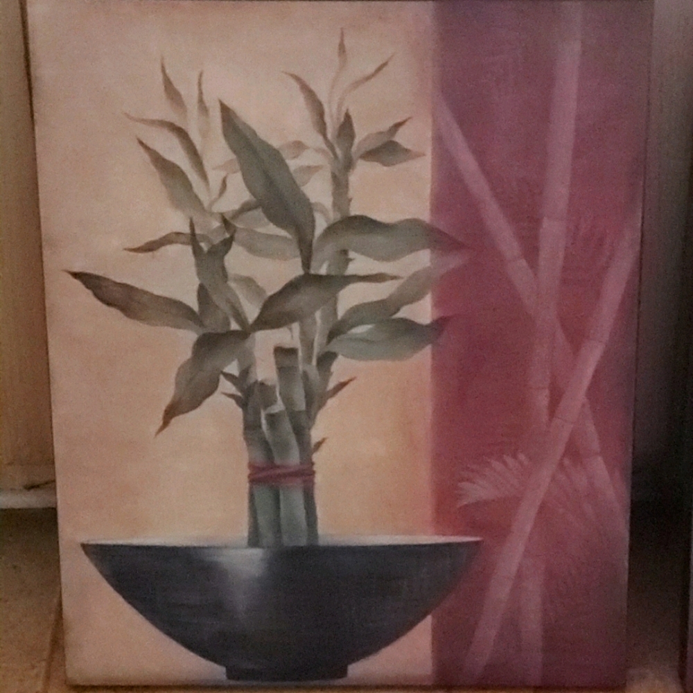 Canvas Pictures